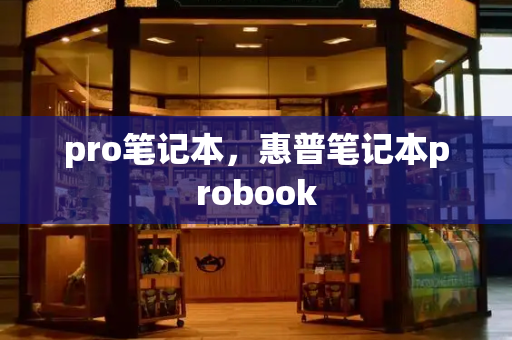 pro笔记本，惠普笔记本probook-第1张图片-星选测评