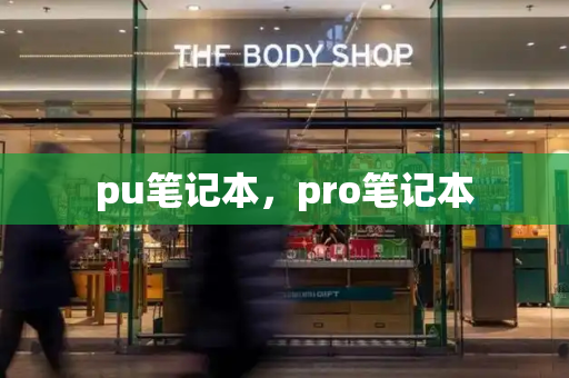 pu笔记本，pro笔记本-第1张图片-星选测评