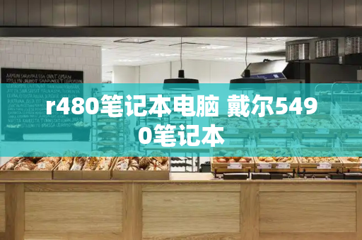 r480笔记本电脑 戴尔5490笔记本-第1张图片-星选测评