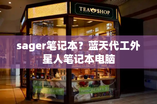sager笔记本？蓝天代工外星人笔记本电脑-第1张图片-星选测评