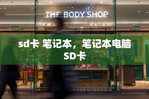 sd卡 笔记本，笔记本电脑SD卡-第1张图片-星选测评