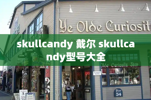 skullcandy 戴尔 skullcandy型号大全-第1张图片-星选测评