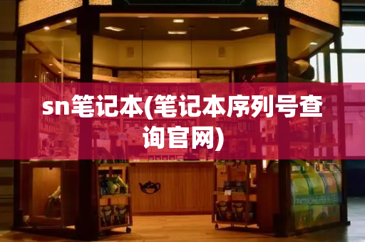 sn笔记本(笔记本序列号查询官网)-第1张图片-星选测评