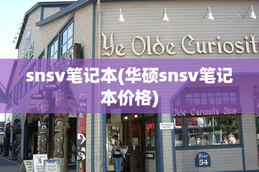 snsv笔记本(华硕snsv笔记本价格)
