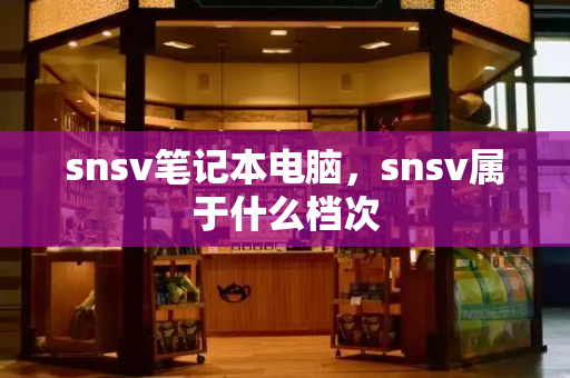 snsv笔记本电脑，snsv属于什么档次