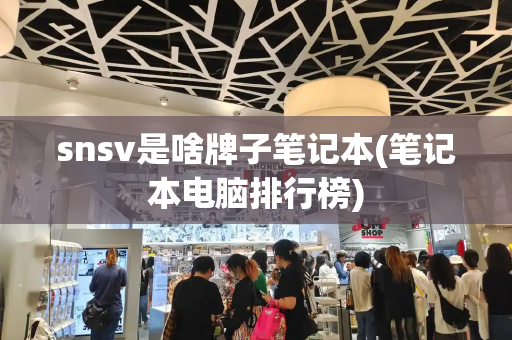 snsv是啥牌子笔记本(笔记本电脑排行榜)-第1张图片-星选测评