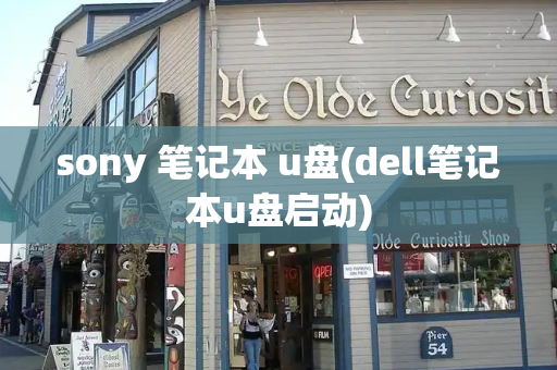 sony 笔记本 u盘(dell笔记本u盘启动)