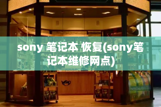 sony 笔记本 恢复(sony笔记本维修网点)
