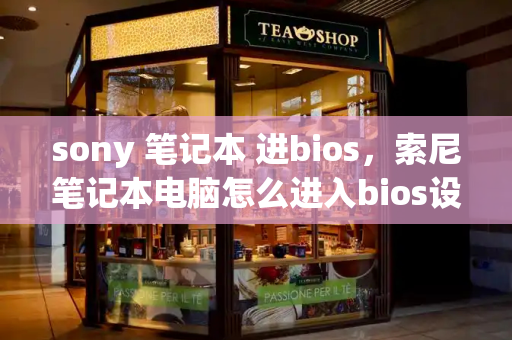 sony 笔记本 进bios，索尼笔记本电脑怎么进入bios设置