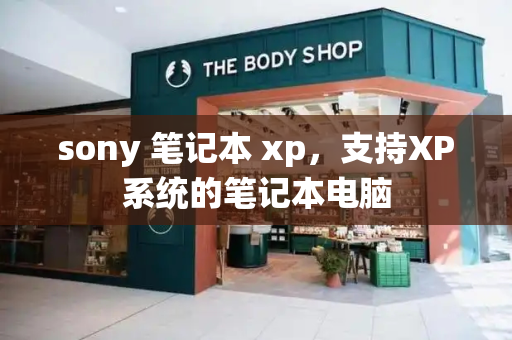 sony 笔记本 xp，支持XP系统的笔记本电脑-第1张图片-星选测评