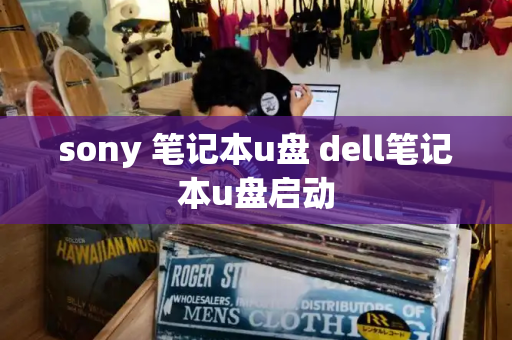 sony 笔记本u盘 dell笔记本u盘启动-第1张图片-星选测评
