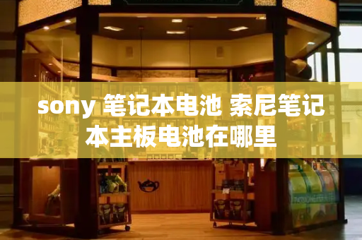 sony 笔记本电池 索尼笔记本主板电池在哪里