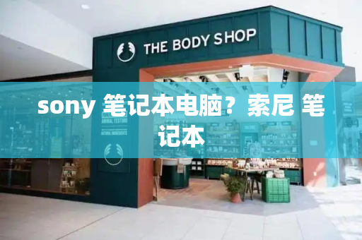sony 笔记本电脑？索尼 笔记本