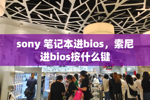 sony 笔记本进bios，索尼进bios按什么键-第1张图片-星选测评