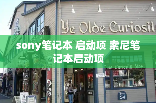 sony笔记本 启动项 索尼笔记本启动项
