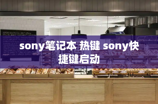 sony笔记本 热键 sony快捷键启动