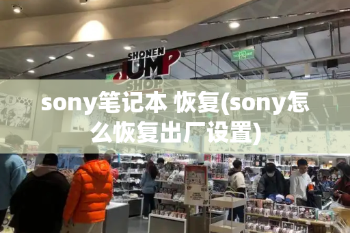 sony笔记本 恢复(sony怎么恢复出厂设置)-第1张图片-星选测评