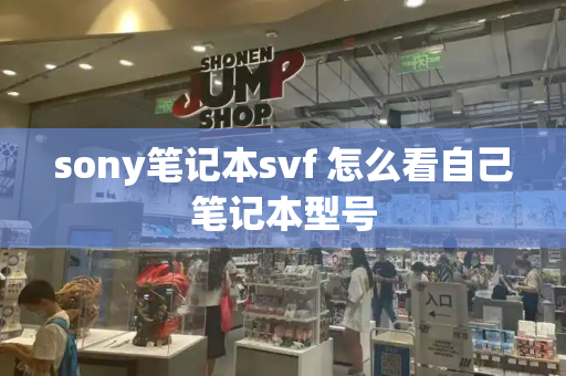 sony笔记本svf 怎么看自己笔记本型号-第1张图片-星选测评