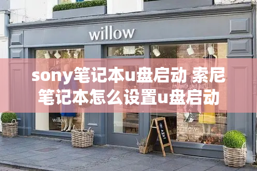 sony笔记本u盘启动 索尼笔记本怎么设置u盘启动-第1张图片-星选测评