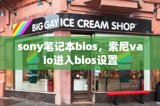 sony笔记本bios，索尼vaio进入bios设置