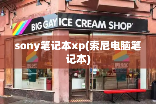 sony笔记本xp(索尼电脑笔记本)