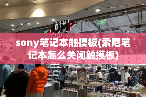 sony笔记本触摸板(索尼笔记本怎么关闭触摸板)
