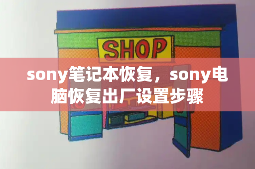 sony笔记本恢复，sony电脑恢复出厂设置步骤-第1张图片-星选测评