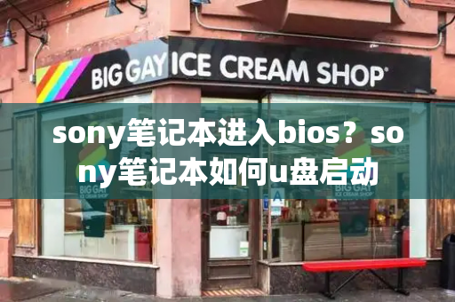 sony笔记本进入bios？sony笔记本如何u盘启动