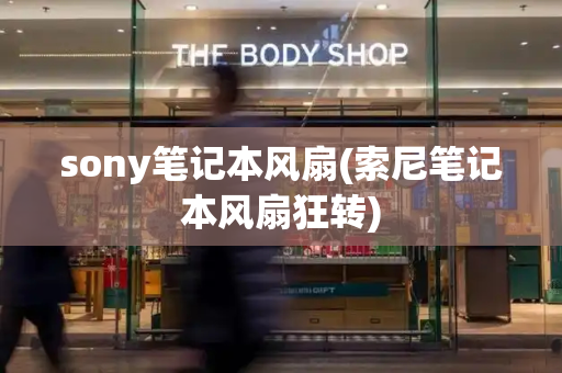 sony笔记本风扇(索尼笔记本风扇狂转)-第1张图片-星选测评