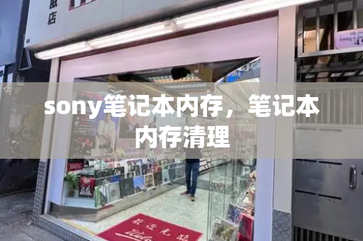 sony笔记本内存，笔记本内存清理-第1张图片-星选测评