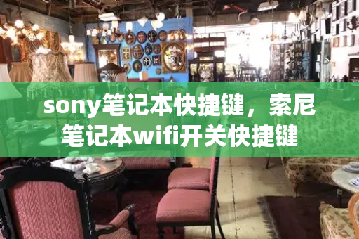 sony笔记本快捷键，索尼笔记本wifi开关快捷键-第1张图片-星选测评
