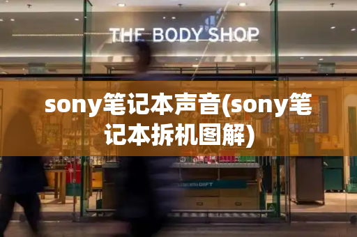sony笔记本声音(sony笔记本拆机图解)