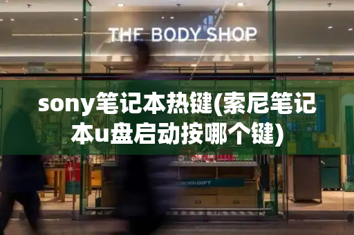 sony笔记本热键(索尼笔记本u盘启动按哪个键)-第1张图片-星选测评