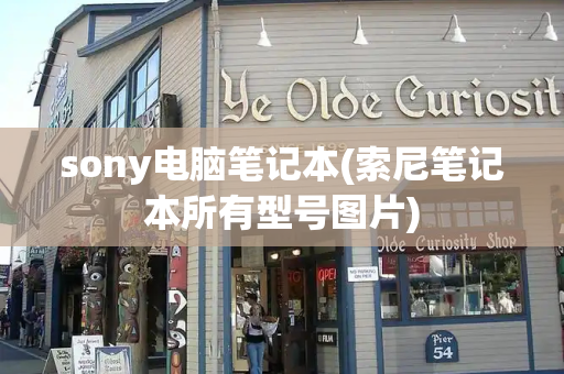 sony电脑笔记本(索尼笔记本所有型号图片)-第1张图片-星选测评