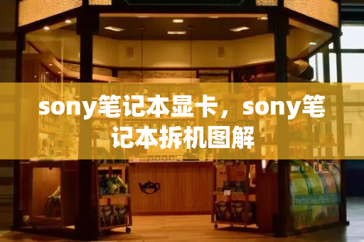 sony笔记本显卡，sony笔记本拆机图解-第1张图片-星选测评