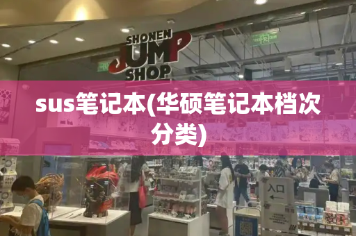 sus笔记本(华硕笔记本档次分类)-第1张图片-星选测评