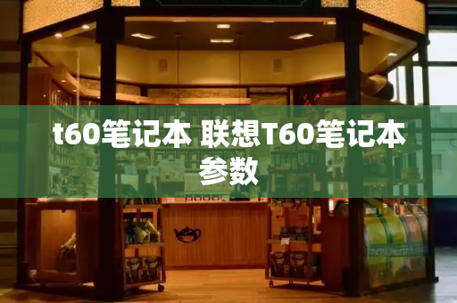 t60笔记本 联想T60笔记本参数