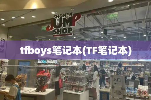 tfboys笔记本(TF笔记本)-第1张图片-星选测评
