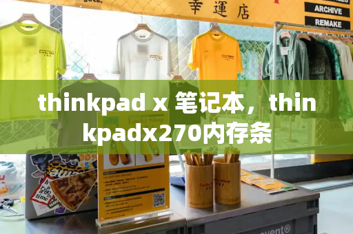 thinkpad x 笔记本，thinkpadx270内存条