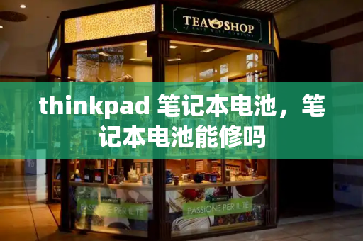 thinkpad 笔记本电池，笔记本电池能修吗-第1张图片-星选测评