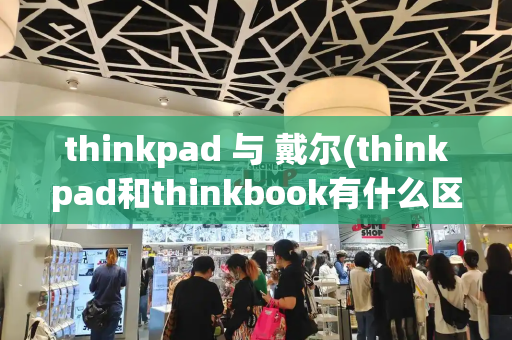 thinkpad 与 戴尔(thinkpad和thinkbook有什么区别)-第1张图片-星选测评