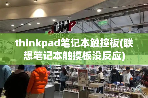 thinkpad笔记本触控板(联想笔记本触摸板没反应)