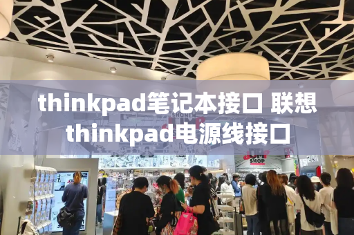 thinkpad笔记本接口 联想thinkpad电源线接口