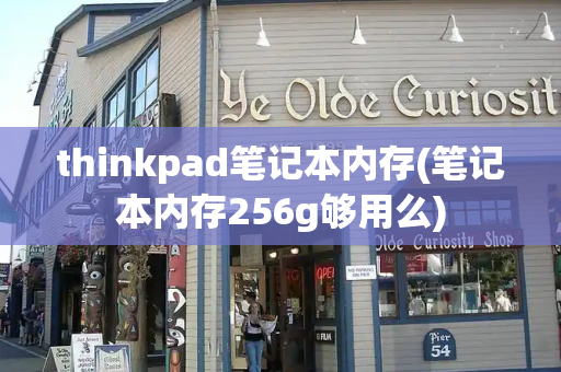 thinkpad笔记本内存(笔记本内存256g够用么)