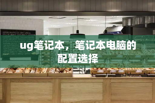 ug笔记本，笔记本电脑的配置选择-第1张图片-星选测评