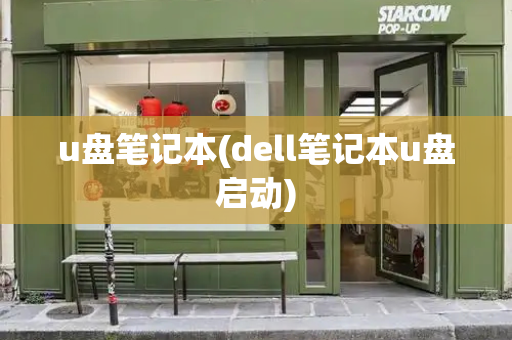 u盘笔记本(dell笔记本u盘启动)
