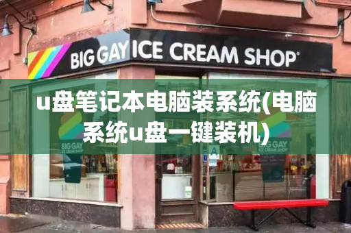 u盘笔记本电脑装系统(电脑系统u盘一键装机)