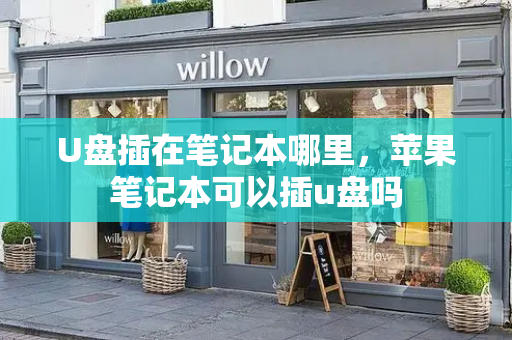 U盘插在笔记本哪里，苹果笔记本可以插u盘吗