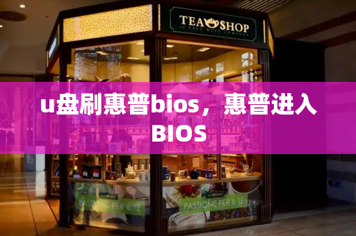 u盘刷惠普bios，惠普进入BIOS