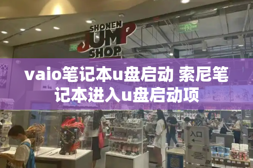 vaio笔记本u盘启动 索尼笔记本进入u盘启动项